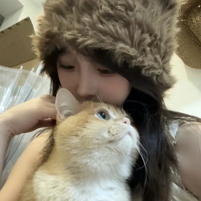 美声歌鸡